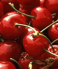 Cerise ...