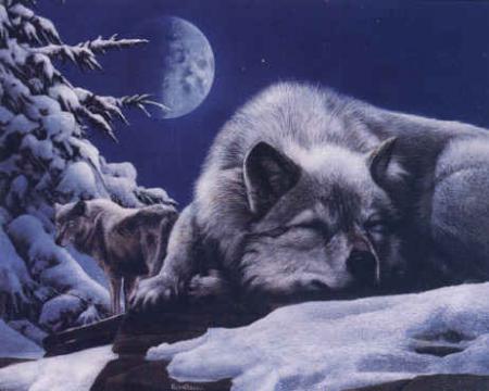 Pleine Lune