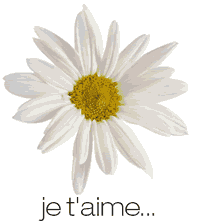 Je t'aime