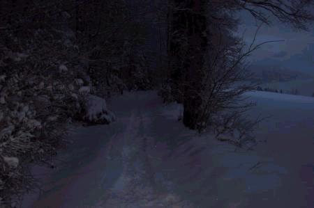 J'attendrais que passe l'hiver en toi ...