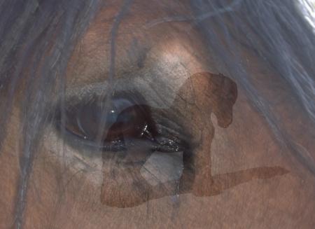 Au fond de tes yeux ...