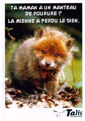 Non à la fourrure !