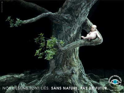 Environnement (poster 1)