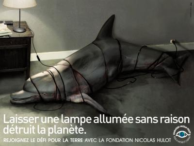 Environnement (poster 2)
