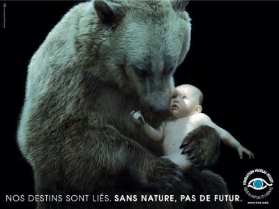 Environnement (poster 4)