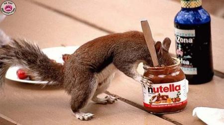 Les 10 commandements du Nutella !