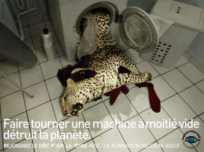 Environnement (poster 5)