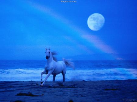 Prince des sables